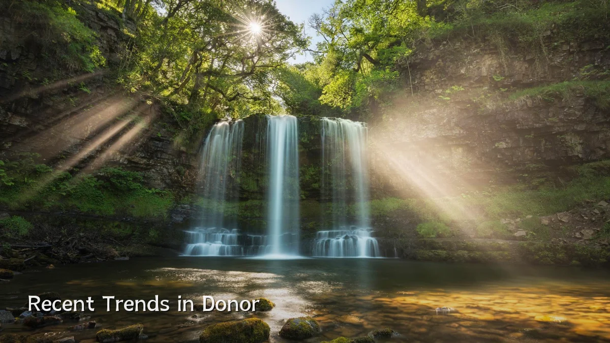 Recent Trends in Donor