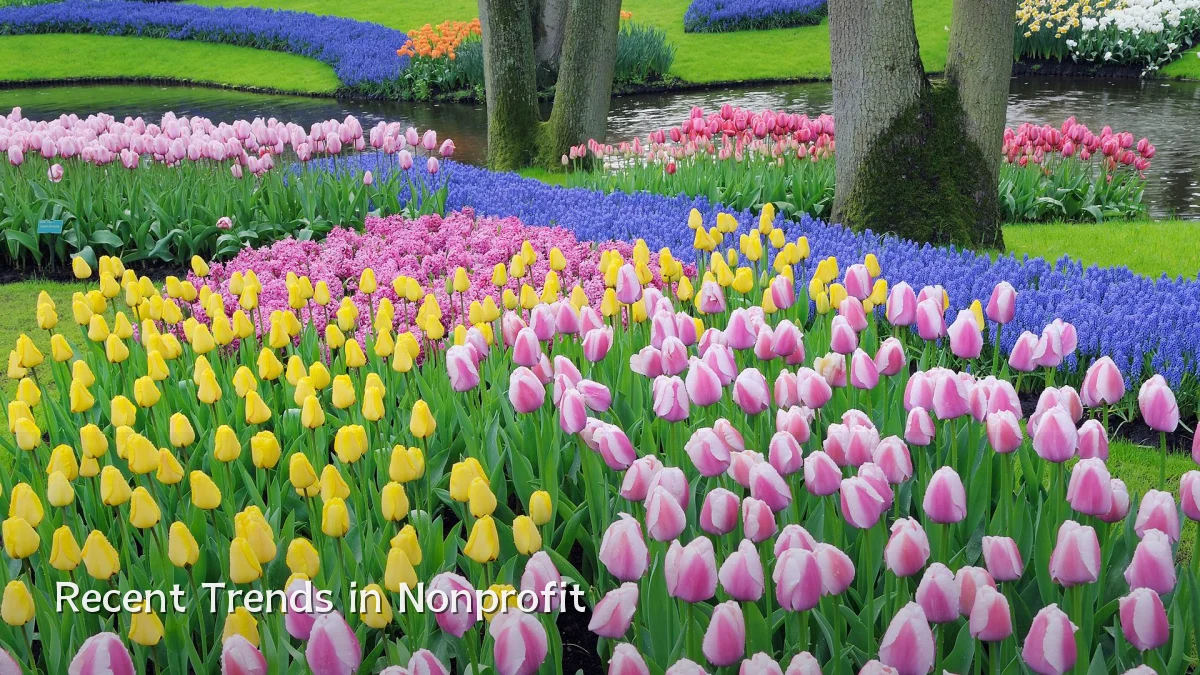 Recent Trends in Nonprofit