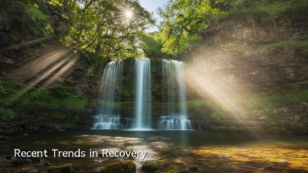 Recent Trends in Recovery