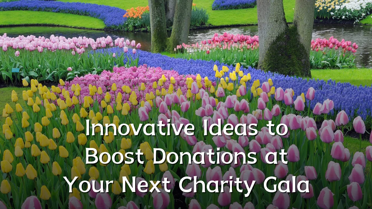 Innovative Ideas to Boost Donations at Your Next Charity Gala