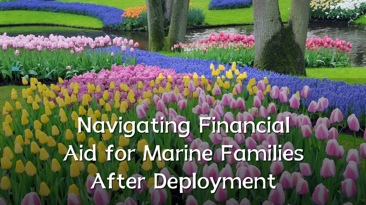 Navigating Financial Aid for Marine Families After Deployment