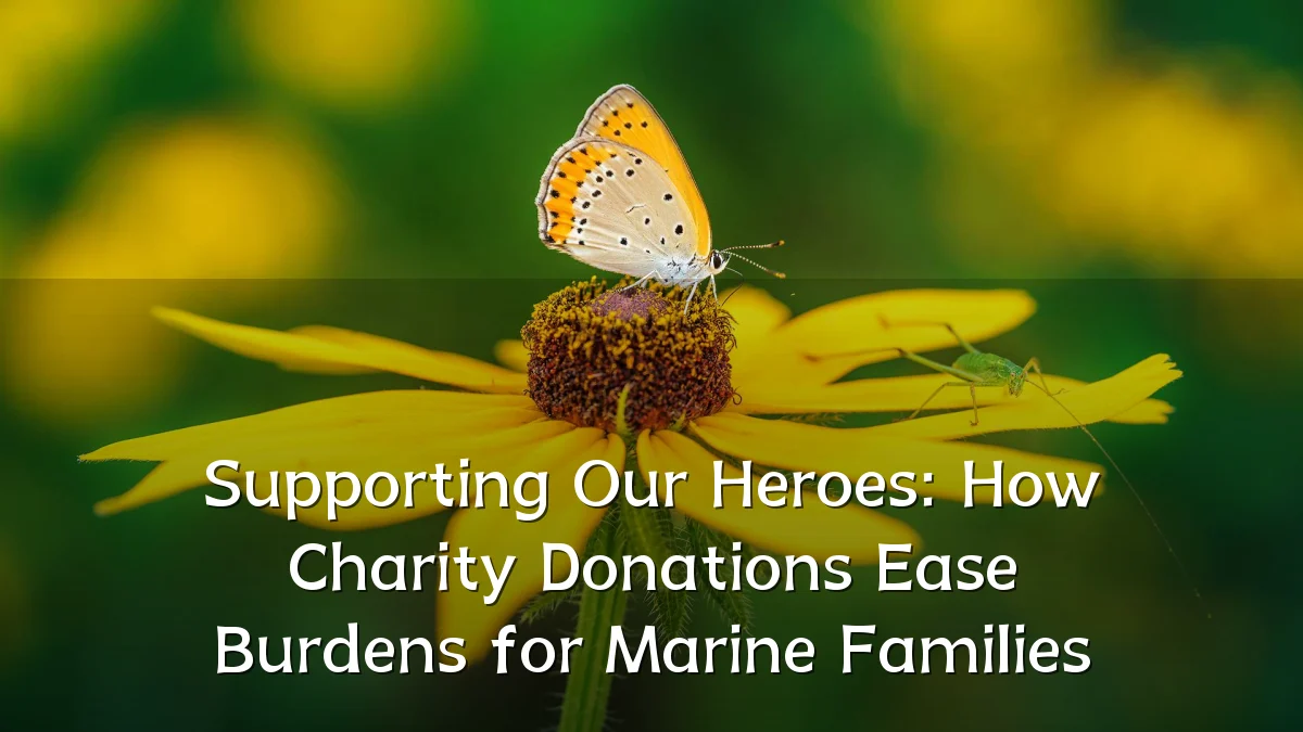 Supporting Our Heroes: How Charity Donations Ease Burdens for Marine Families