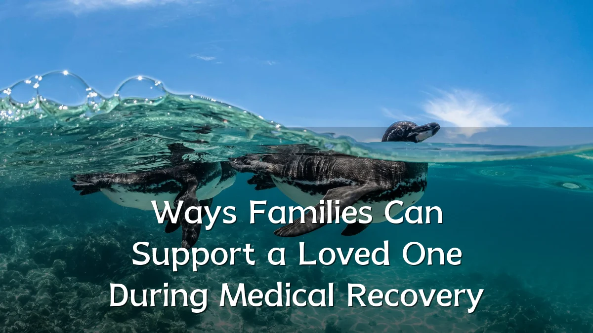 Ways Families Can Support a Loved One During Medical Recovery