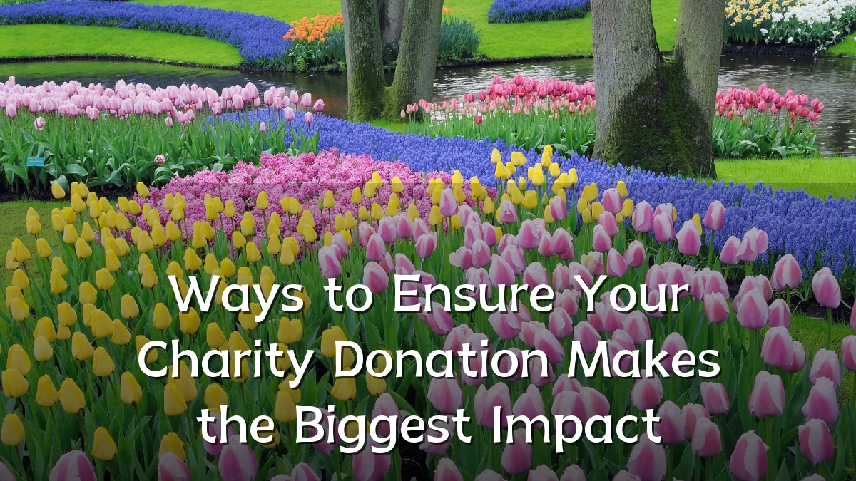 Ways to Ensure Your Charity Donation Makes the Biggest Impact