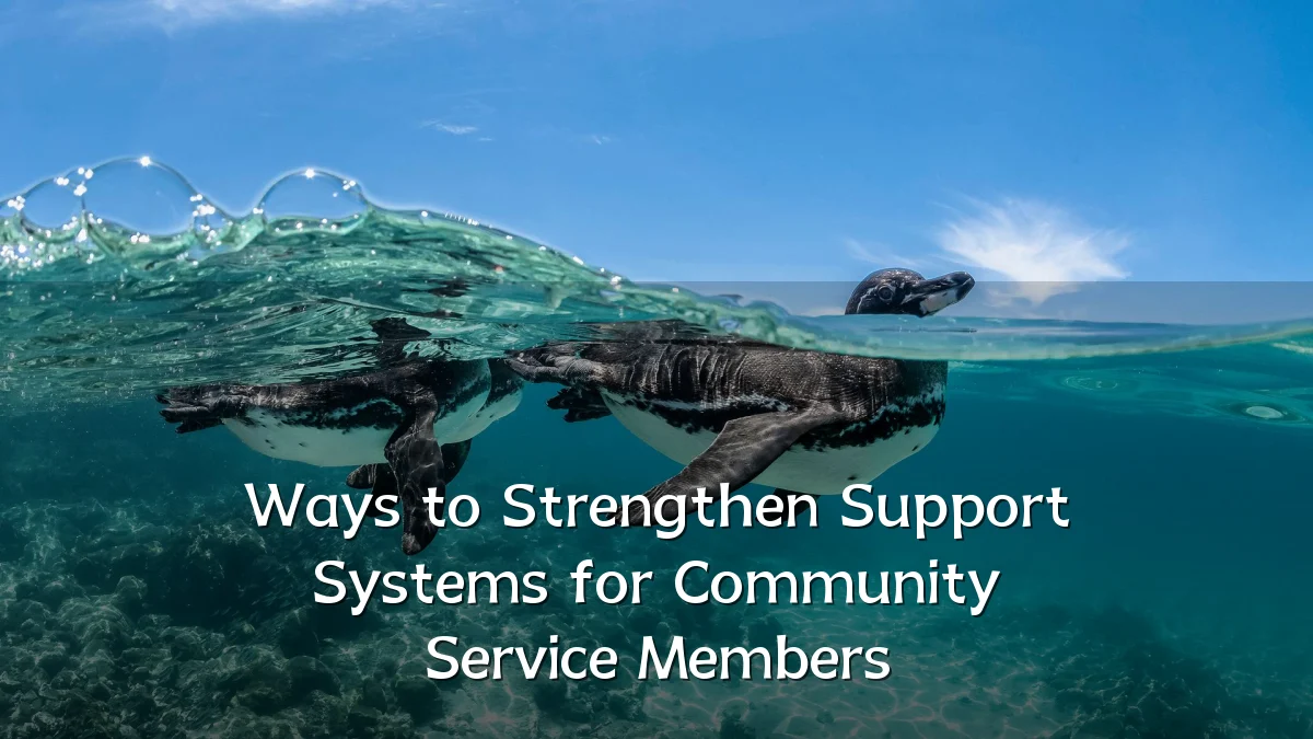 Ways to Strengthen Support Systems for Community Service Members