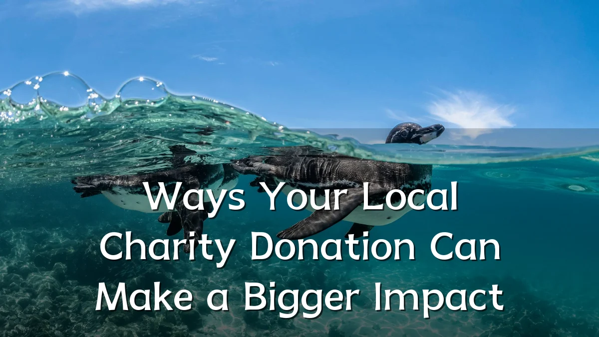 Ways Your Local Charity Donation Can Make a Bigger Impact