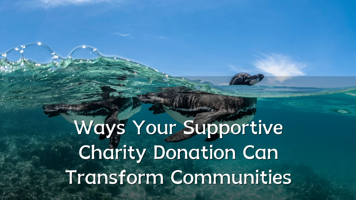 Ways Your Supportive Charity Donation Can Transform Communities